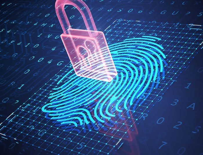 Biometric Authentication